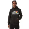 The North Face Pride Hoodie