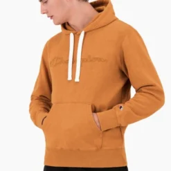 Champion Hooded Sweatshirt -Nike Verkäufe 215206 ms033 04 3 600x600