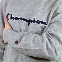 Champion Crewneck Sweatshirt 7 Champion Crewneck Sweatshirt -Nike Verkäufe IMG 6879 6 600x600